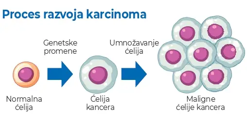 Informacije o prenatalnom testu